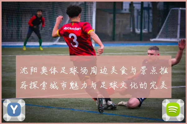 沈阳奥体足球场周边美食与景点推荐探索城市魅力与足球文化的完美结合